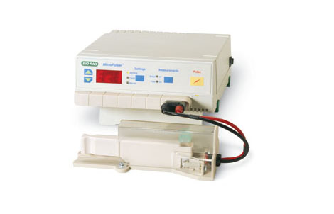 (l)MicroPulser늴׃x